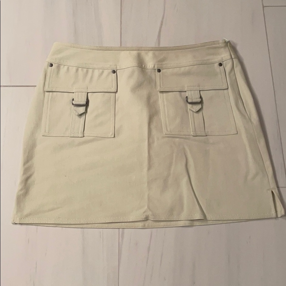 Express skirt